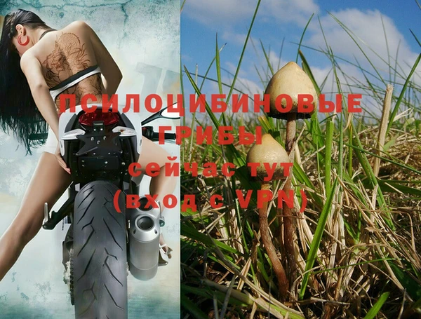 спайс Магадан